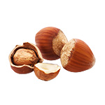 Noisettes